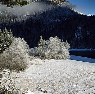 Cave del Predil